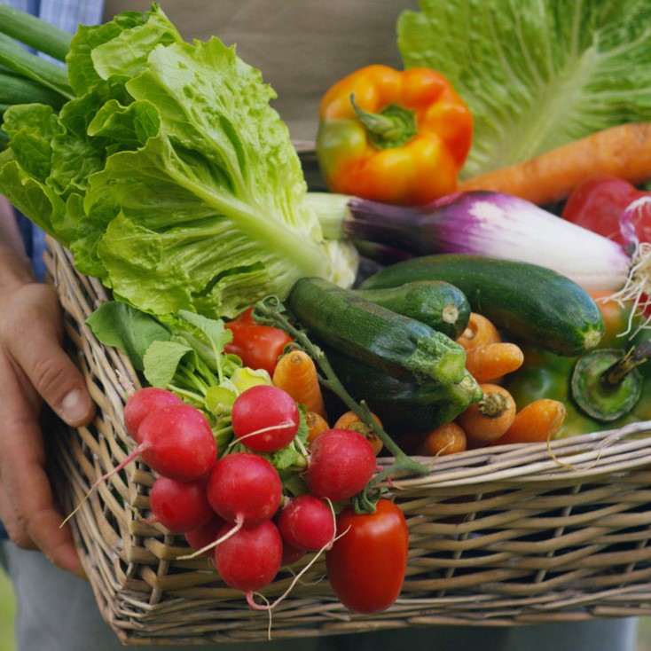 Mineralstoffe – Bausteine des Lebens