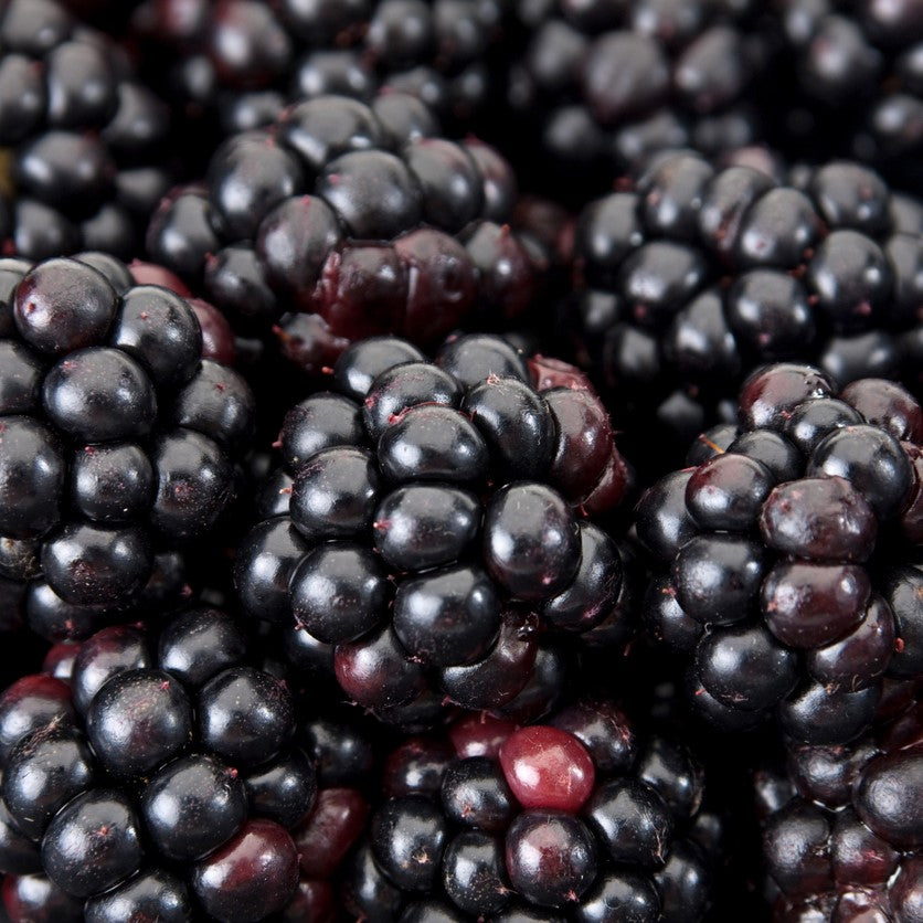 Antioxidantien und freie Radikale – die schützende Masseinheit ORAC