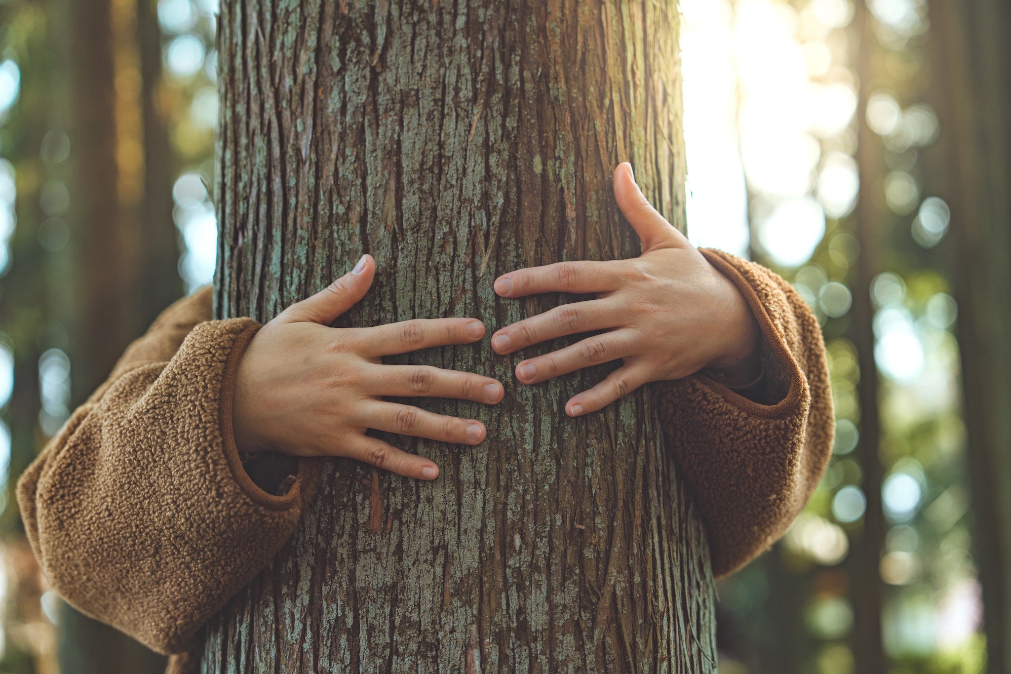 Person umarmt Baum im Wald – Symbol für Nachhaltigkeit, Naturverbundenheit und Achtsamkeit.