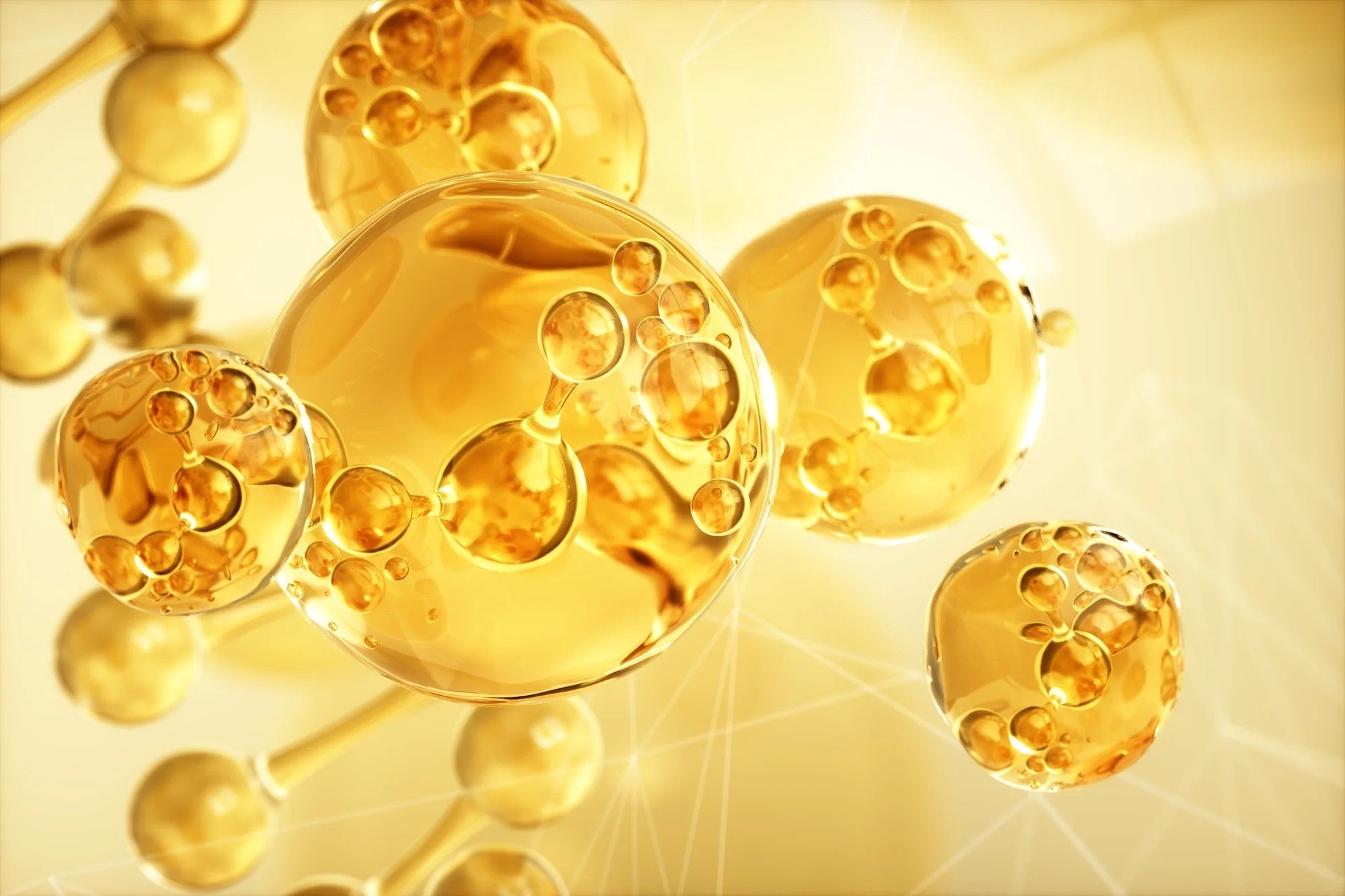 Was ist der Unterschied zwischen Triglyceriden & Ethylestern in Omega-3-Fischöl?