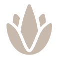 Greiges Icon für Aloe Vera