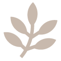 Greiges Icon für Grüntee
