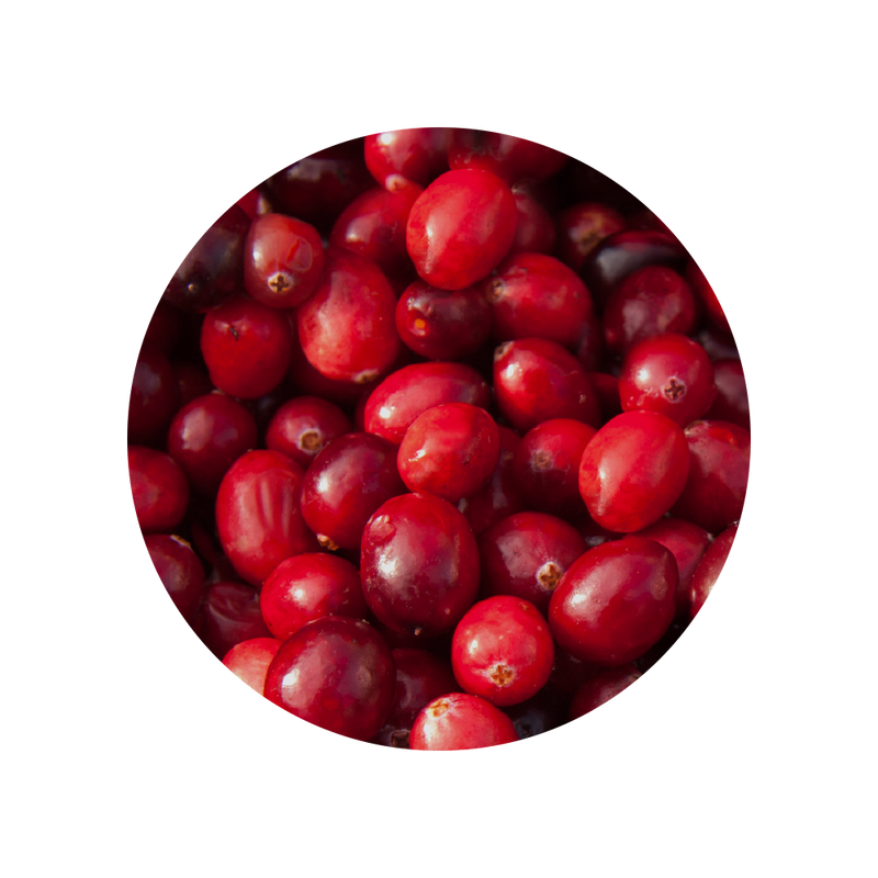 Cranberry-Extrakt