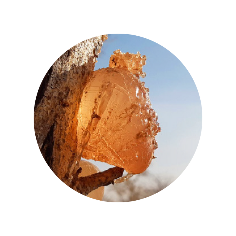 Inavea™ Akazienfaser