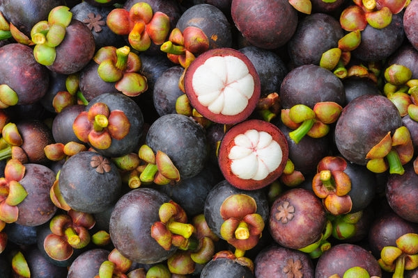 Nahaufnahme Mangostanfrucht